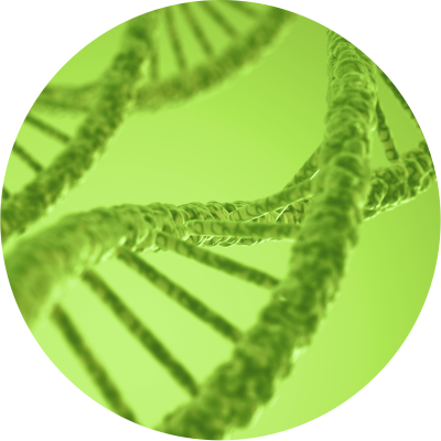bioidentical-hormone-therapy image for bioidentical hormone therapy